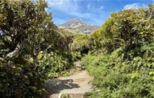 Holly Hut Track