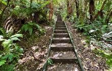 Acland Falls Track