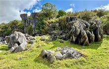 Waro Limestone Scenic Reserve Walk