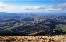 Mt Grey/Maukatere Track