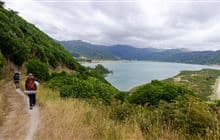 Gibbs Hill Track