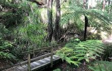 Catchpool Loop Walk