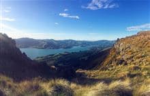 Tutakakahikura Scenic Reserve Track