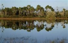 Kaituna Wetland Loop Track