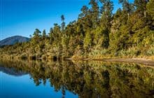 Lake Paringa Campsite