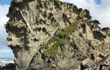 Honeycomb Rock Walkway