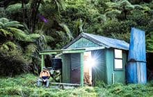 Nikau Flat Hut