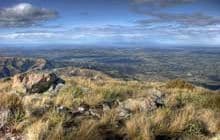 Mt Oxford Track