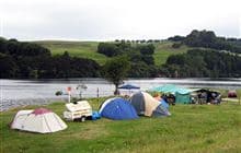 Arohena Campsite