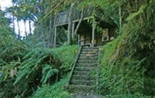 Ohauora Campsite