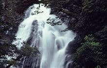 Fantail Falls Walk