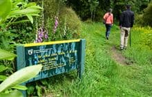 Mount Hutt Forest walking tracks