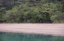 Ferndale Campsite