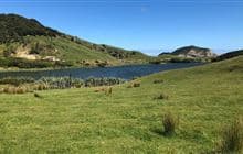 Pūponga Farm Track / Green Hills Route