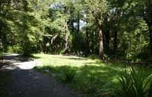Donnelly Flat Loop Walk