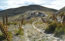 Crown Range Road summit to Tuohys Gully