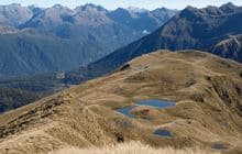 Mt Burns Tarns Track