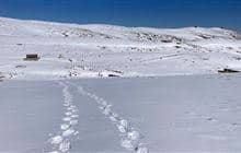 Kirtle Burn Track