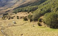 Paske Hut