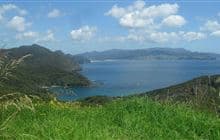 Harataonga Loop Track