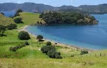 Urupukapuka Bay Campsite