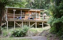 Haurangi Hut