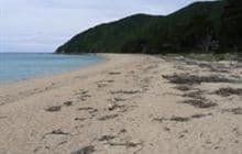 Whariwharangi Bay Campsite