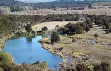 Butterfields Wetland Walk