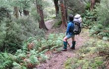 Kelly Knight Hut Track