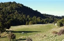 Waihī Gorge Campsite