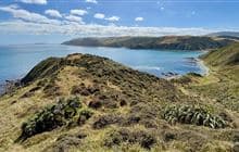 Mākara Walkway