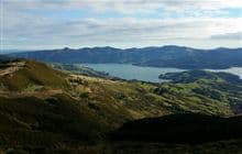 Ellangowan Scenic Reserve Track