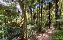 Mount William Walkway