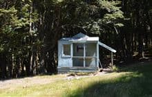 Shamrock Hut
