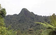 Mt Titiraupenga Track