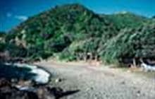 Fantail Bay Track