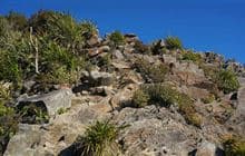 Mahaukura Track