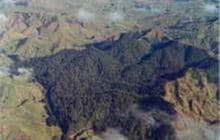 Whinray Scenic Reserve Track