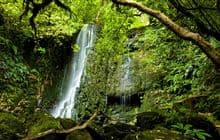 Matai Falls Walk