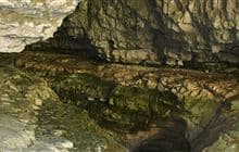 Caving at Cave Stream