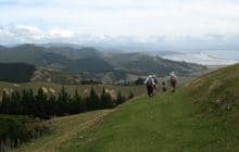 Cable Bay Walkway