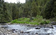 Dickey Flat Campsite