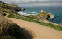 Tunnel Beach Walk