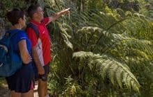Kapiti Island tracks and walks