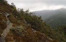 Urchin Track (to Waipakihi Valley)
