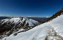 Ben Lomond Track