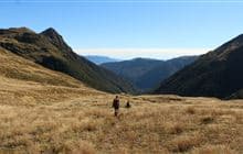 Rough Creek Track