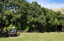 Kaituna Valley Scenic Reserve walk