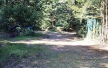 Army Road Campsite