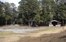 Hawdon Shelter Campsite